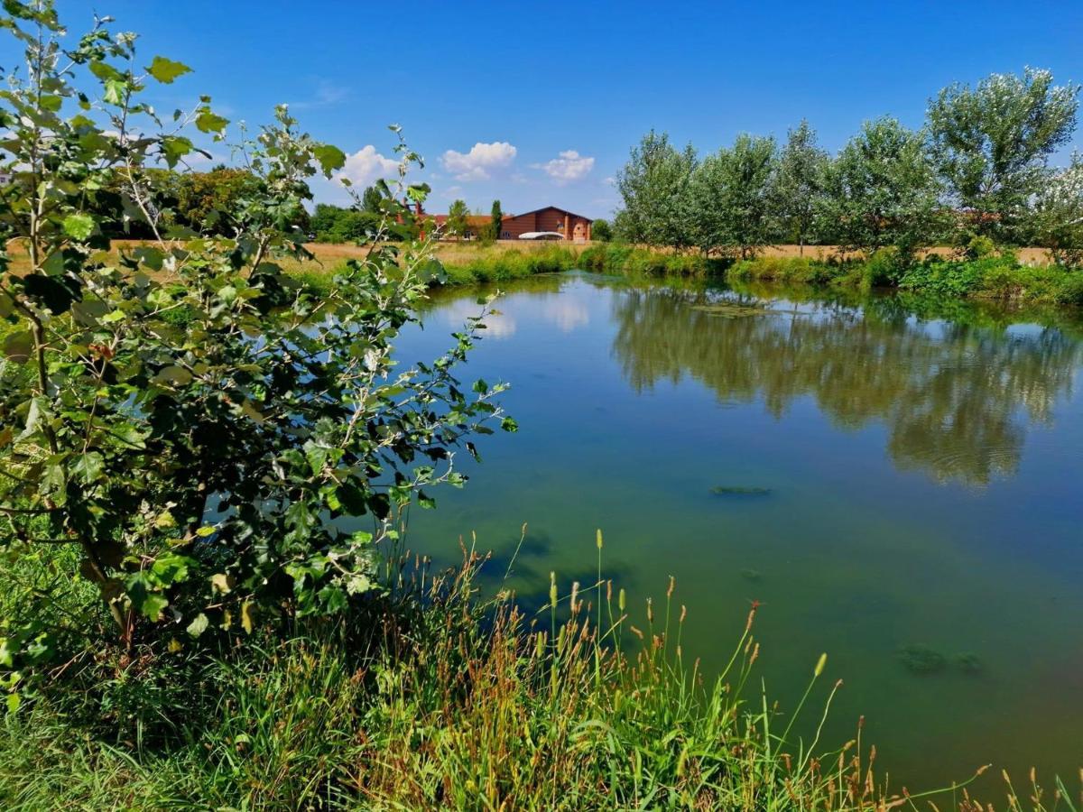 Pacy - Park City Home ซานจูเลียโน มิลาเนเซ ภายนอก รูปภาพ